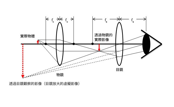 顯微鏡原理