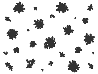 依據圓度係數判斷的類型