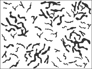 依據圓度係數判斷的類型