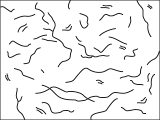 依據圓度係數判斷的類型