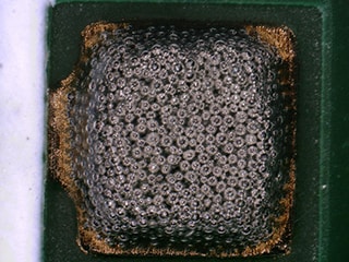 4K數位顯微鏡「VHX系列」的膏狀焊料觀察